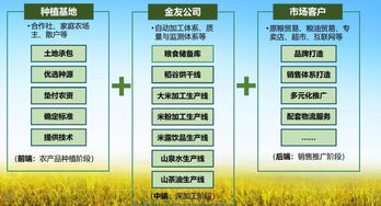 金友米业会员项目 打造国内领先的生态农产品服务与信息咨询平台